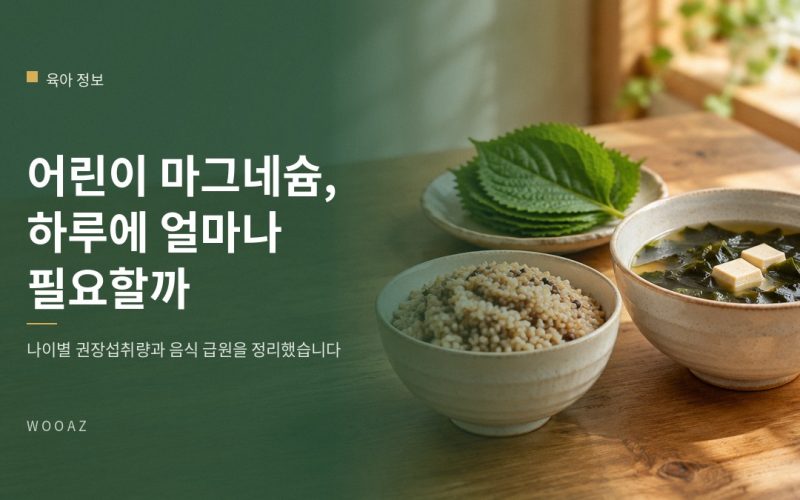 어린이 마그네슘, 하루에 얼마나 필요한가요?
