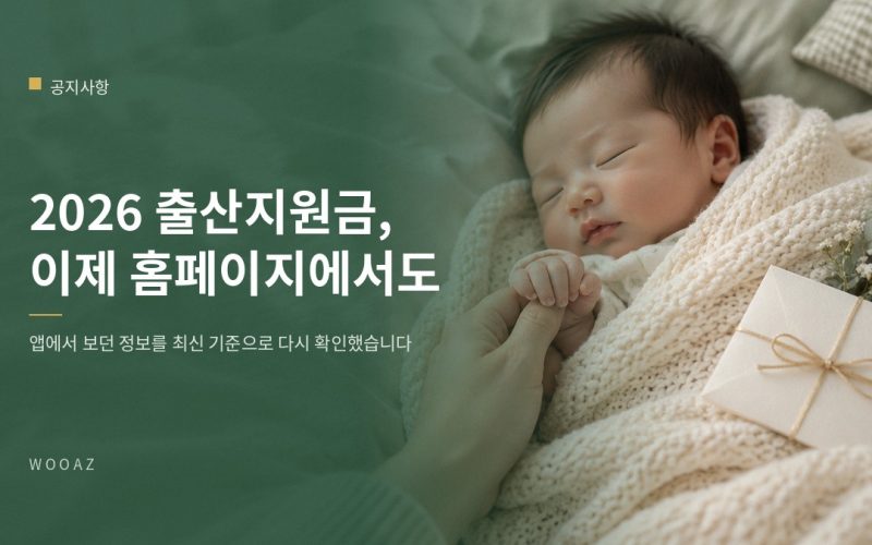 2026 출산지원금 정보, 이제 홈페이지에서도 보세요