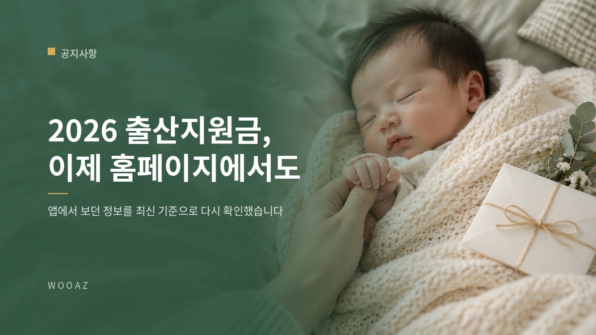 2026 출산지원금 정보, 이제 홈페이지에서도 보세요